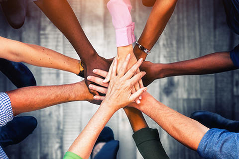 Several hands coming together in a team huddle. 