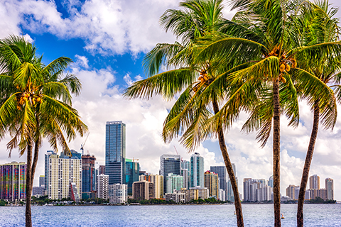 A stock photo of a cityscape in Miami, Florida.