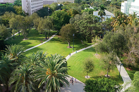 An aerial photo of the University of Miami's Coral Gables campus greenery.