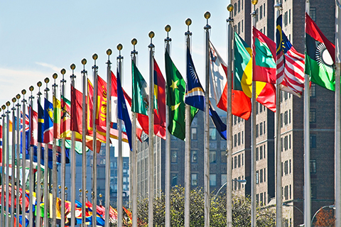 A stock photo of the flags staffed outside of the United Nations building in New York, New York. 