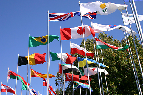 flags on flagpoles